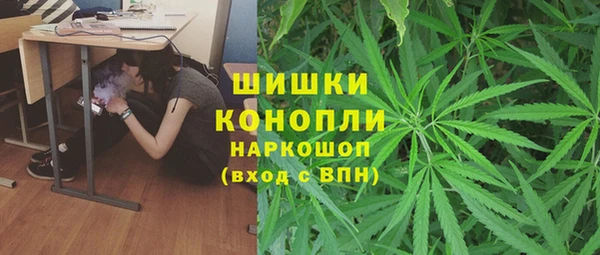 PSILOCYBIN Костерёво