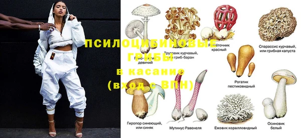 эйфоретик Коряжма