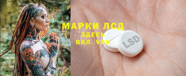PSILOCYBIN Корсаков